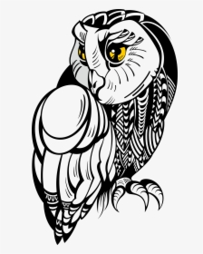 Owl Tattoo Drawing Illustration Stock Free Hq Image - Black And White Owl Png, Transparent Png, Free Download