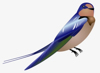 Flying Swallow Png - Gambar Burung Kartun Png, Transparent Png, Free Download