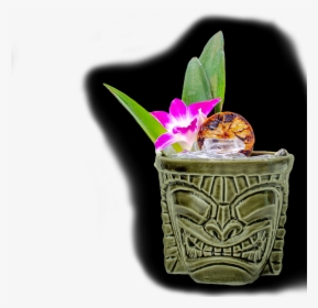 Orchid, HD Png Download, Free Download