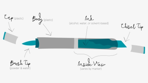 Anatomy Of An Art Marker - Inside Of A Marker, HD Png Download, Free Download