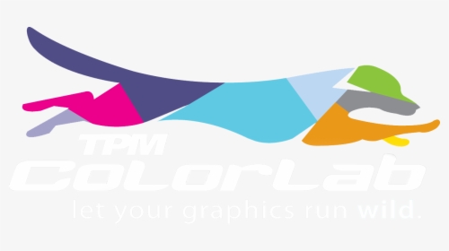 Clip Art, HD Png Download, Free Download