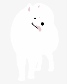 Samoyed Png, Transparent Png, Free Download