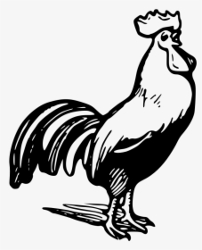 Chicken Rooster Black And White Clip Art - Rooster Clip Art Black And White, HD Png Download, Free Download