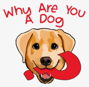You A Dog, HD Png Download, Free Download