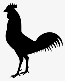 Chicken Skeleton Clip Art - Cock Bird Silhouette, HD Png Download, Free Download