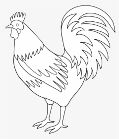 Chicken Clipart Tail Black And White Rooster Art Transparent - Rooster Black And White, HD Png Download, Free Download