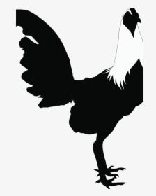 Rooster Chicken Silhouette Black And White Clip Art - Siluetas De Gallos, HD Png Download, Free Download