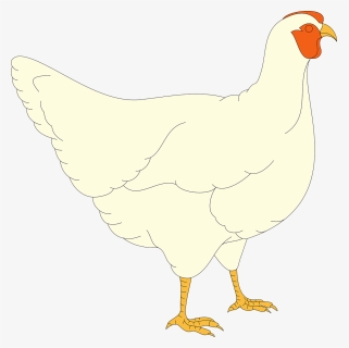 Chicken, HD Png Download, Free Download