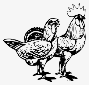 Poultry - 2 Chicken Clipart, HD Png Download, Free Download