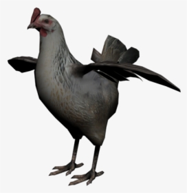 Dead Chicken Png - Red Dead Revolver Chicken, Transparent Png, Free Download