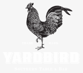 Yardbird Southern Table & Bar Logo, HD Png Download, Free Download