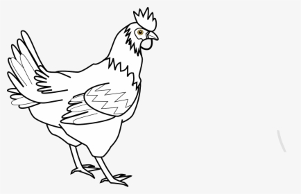 Outline Images Of Hen, HD Png Download, Free Download