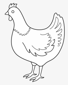Hen Clipart Pencil Sketch - Coloring Book, HD Png Download, Free Download