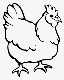 Chicken Clipart Coloring Page, Printable Chicken Clipart - Colouring Pages Of Hen, HD Png Download, Free Download