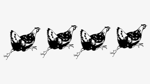 Hen, Chicken, Running, Farm Animals, Farm, Agriculture - Running Hens, HD Png Download, Free Download