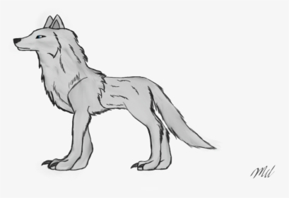Wildlife Drawing Wolf - Png Loth Wolf, Transparent Png, Free Download