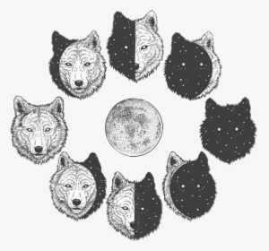 #freetoedit #wolf #wolves #moon #moonphases #night - Wolf And Moon Drawing, HD Png Download, Free Download