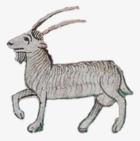 Capricorn, HD Png Download, Free Download