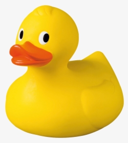 Rubber Ducky,bath Geese And Swans,bird,water Bird,beak - Rubber Ducky Transparent Background, HD Png Download, Free Download
