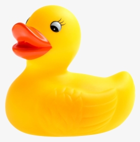 Rubber Duck Png - Transparent Background Rubber Ducky Png, Png Download, Free Download