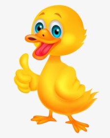 Duck Png Image - Duck Cartoon, Transparent Png, Free Download
