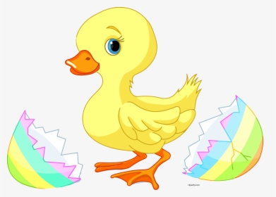 Baby Duck Clip Art - Duck Baby Clipart, HD Png Download, Free Download