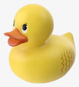 Little Rubber Duck - Duck, HD Png Download, Free Download