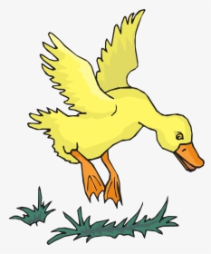 Duck, Bird, Flying, Yellow, Wings, Feathers, Water - Yellow Duck Flying Clipart, HD Png Download, Free Download