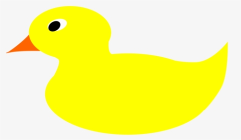 Water Bird,duck,yellow - Rubber Duck Pdf, HD Png Download, Free Download
