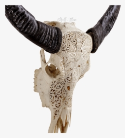 Carved Buffalo Skull - Skull, HD Png Download, Free Download