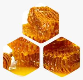 Raw Honey, HD Png Download, Free Download