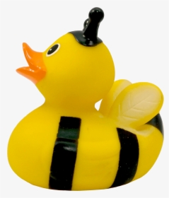 Rubber Duck Png - Duck, Transparent Png, Free Download