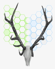 Stag Transparent, HD Png Download, Free Download