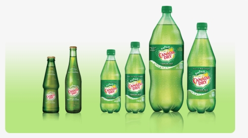 Canada Dry Ginger Ale Products In Different Bottle - Canada Dry Bottle, HD Png Download, Free Download