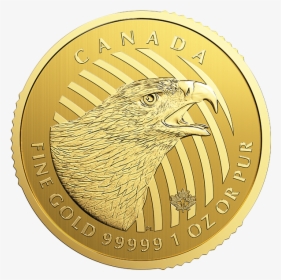 Eagle Gold Coin, HD Png Download, Free Download