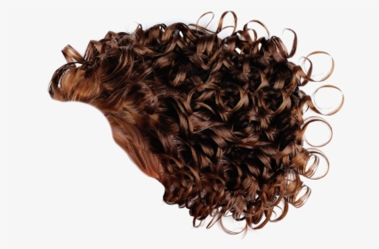 Hair Curls Png Picture - Curly Hair Png Men, Transparent Png, Free Download