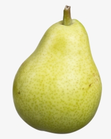 Pear,pear,natural Fruit,tree,food,produce - Pear, HD Png Download, Free Download