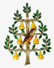 Partridge In A Pear Tree Transparent Background, HD Png Download, Free Download