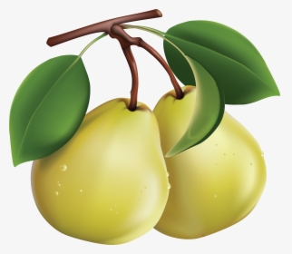 Pear,tree,fruit Plant,clip Pear,accessory Fruit - Pears Clipart Png, Transparent Png, Free Download