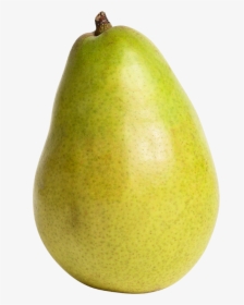 Green Pear Fruit Png Clipart - Pear Fruit Png, Transparent Png, Free Download