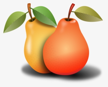 Pears-1990797 - Pear - Clipart Pears, HD Png Download, Free Download
