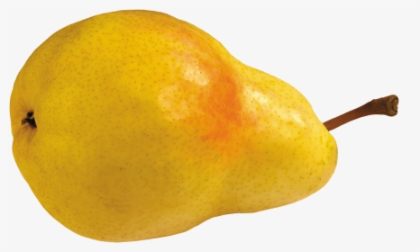 Transparent Pears Clipart - Pear Png No Background, Png Download, Free Download