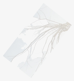 Sketch, HD Png Download, Free Download