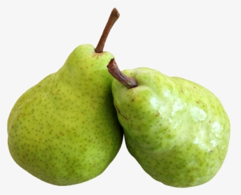 Transparent Png Pear Image - Pear Png, Png Download, Free Download