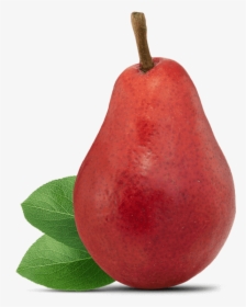 Pear Fruit, HD Png Download, Free Download