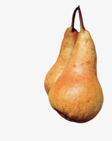 Transparent Pears Clipart - Still Life Photography, HD Png Download, Free Download