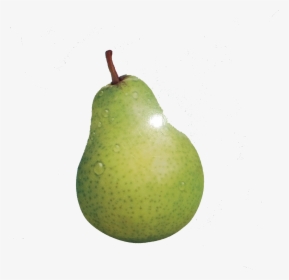 European Pear Fruit - Pear, HD Png Download, Free Download
