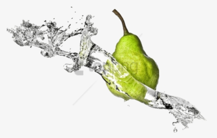 Pear - Nutrition Appointment, HD Png Download, Free Download