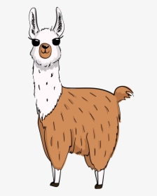 Llamas Llama Animals Ftestickers - Llama Cartoon Transparent Background, HD Png Download, Free Download