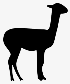 Llama Alpaca Vicuña Clip Art - Clipart Baby Llama Silhouette, HD Png Download, Free Download